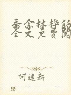 乔念林桦的小说全文免费阅读无弹窗