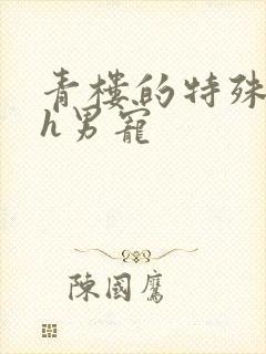 青楼的特殊调教h男宠