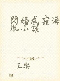 闪婚成宠海彤战胤小说