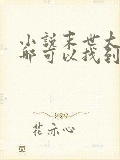 小说末世大回炉哪可以找到