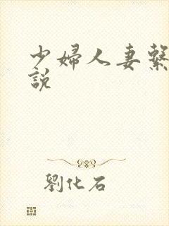 少妇人妻系列小说