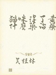 猫咪得了黄疸用什么药治疗