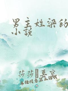 男主姓梁的现代小说