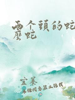 两个头的蛇叫什么蛇