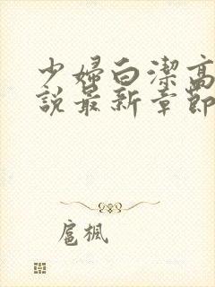 少妇白洁高义小说最新章节更新