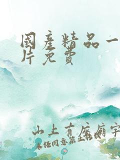 国产精品一级淫片免费