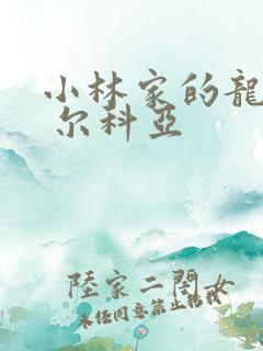 小林家的龙女仆 尔科亚