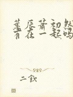 叶辰萧初然最后有在一起吗