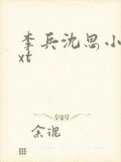 李兵沈思小说txt