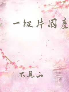 一级片国产自拍