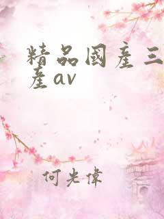 精品国产三级国产av