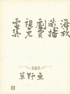 电视剧藏海传全集免费播放