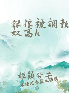 银狼被调教成肉奴高h