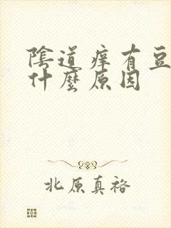 阴道痒有豆腐渣什么原因