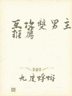 互攻双男主小说推荐