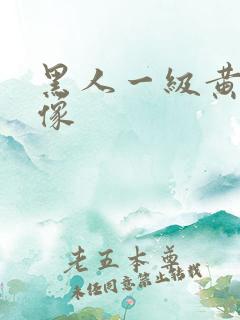 黑人一级黄色录像