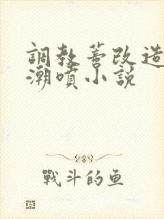 调教蒂改造失禁潮喷小说