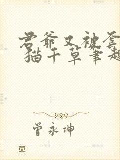 君爷又被套路了 猫千草笔趣阁小说