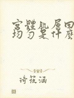 宫体肌层回声不均匀是什么意思