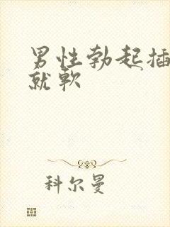 男性勃起插入后就软