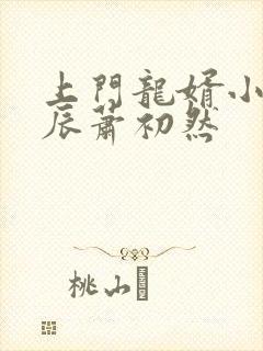 上门龙婿小说叶辰萧初然