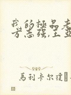 我的极品老婆(方志强,王亚欣)