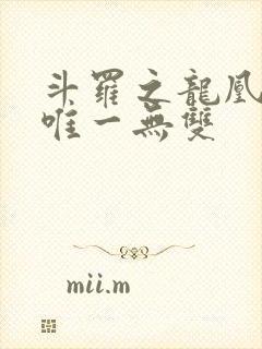 斗罗之龙凰传说唯一无双