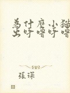 为什么小猫会发出呼噜呼噜的声音