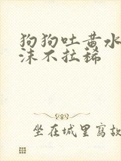 狗狗吐黄水带泡沫不拉稀
