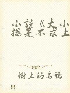 小说《大小姐她总是不求上进》