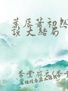叶辰萧初然 小说 大结局