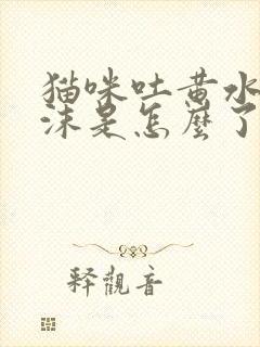 猫咪吐黄水带泡沫是怎么了