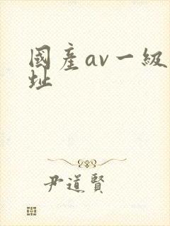国产av一级网址