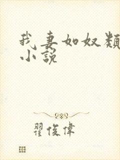 我妻如奴类似的小说