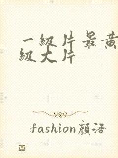 一级片最黄的a级大片