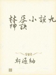 林辰小说九天斩神诀