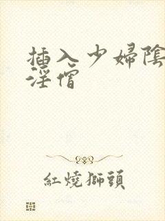 插入少妇阴道的淫僧