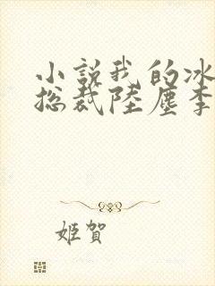 小说我的冰山女总裁陆尘李清瑶