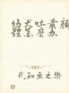 幼犬吐黄颜色液体怎么办