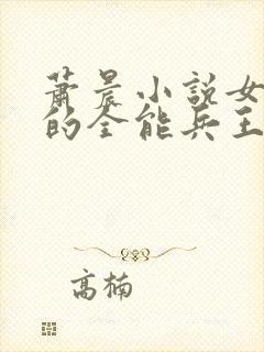 萧晨小说女总裁的全能兵王