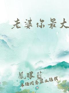 老婆你最大