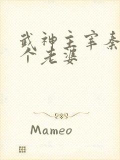 武神主宰秦尘几个老婆