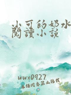 小可的奶水全文阅读小说
