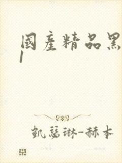 国产精品黑丝91