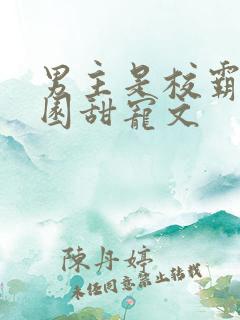 男主是校霸的校园甜宠文