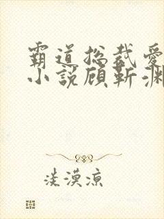 霸道总裁爱上我小说顾靳渊