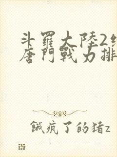 斗罗大陆2绝世唐门战力排名