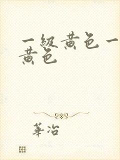 一级黄色一级片黄色