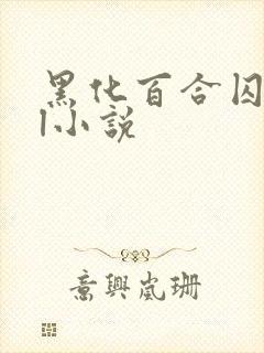 黑化百合囚禁gl小说