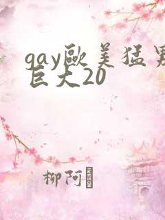 gay欧美猛男巨大20